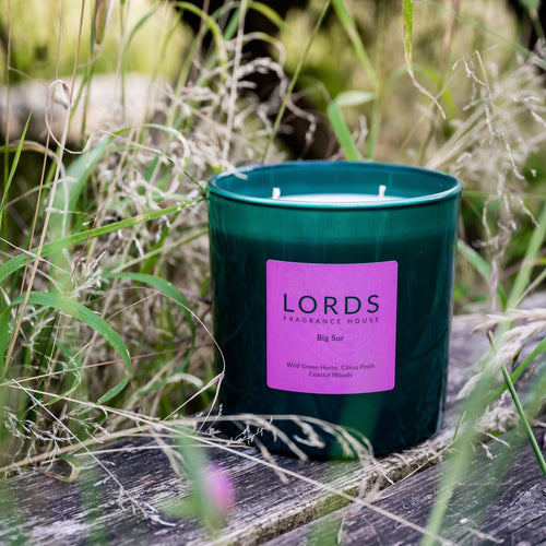 Big Sur 3 Wick Candle - FlourishCo.