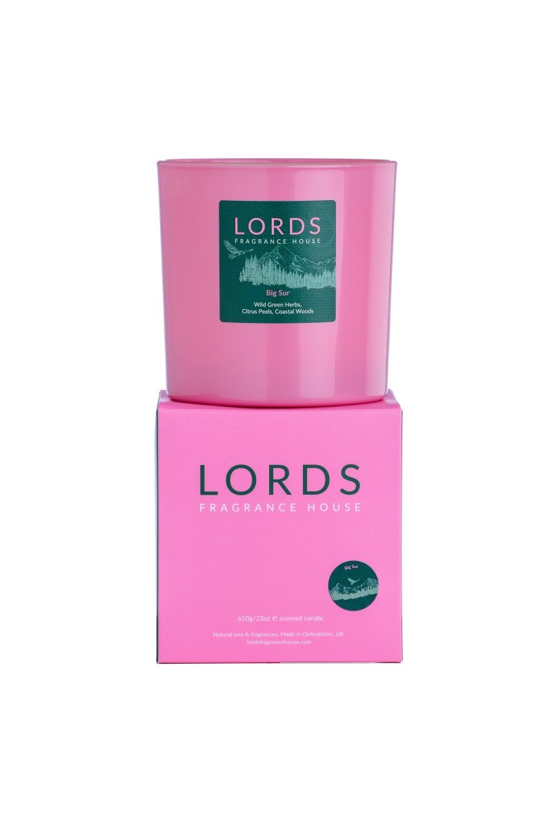 Big Sur 3 Wick Candle - FlourishCo.