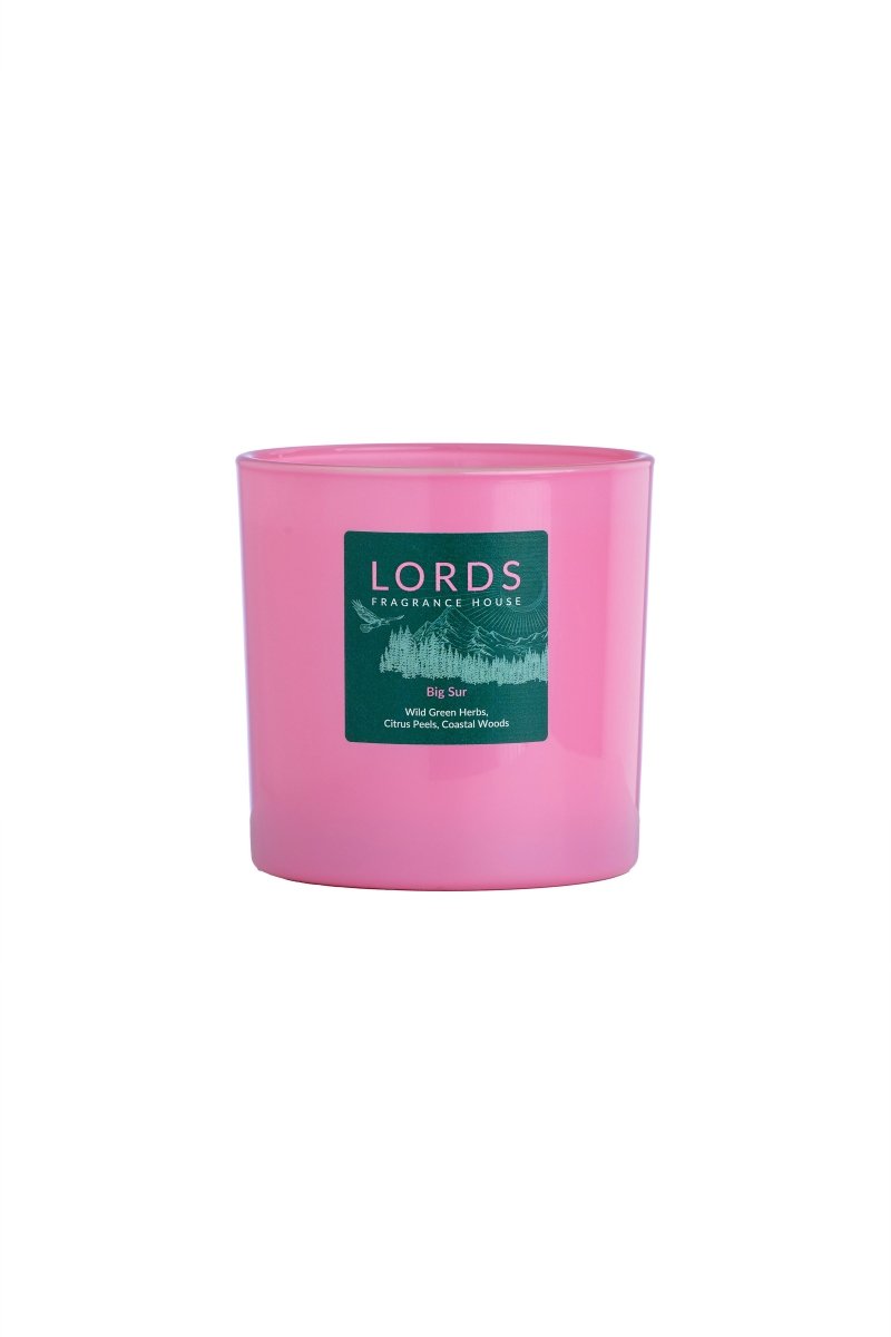 Big Sur 3 Wick Candle - FlourishCo.