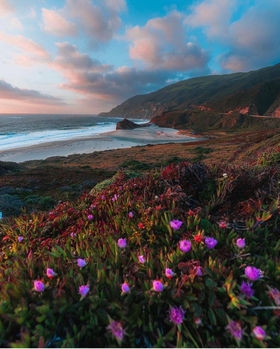 Big Sur 3 Wick Candle - FlourishCo.