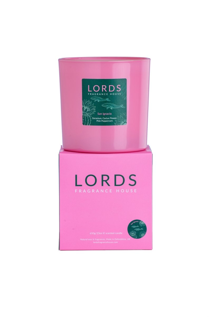 San Ignacio 3 Wick Candle - FlourishCo.