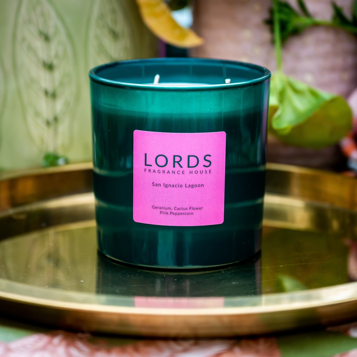 San Ignacio 3 Wick Candle - FlourishCo.