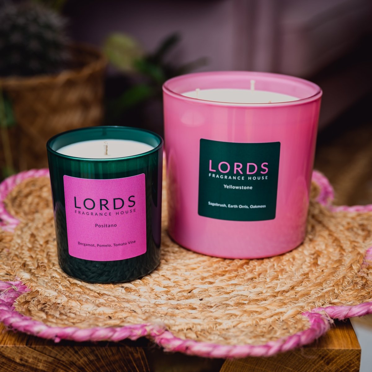 San Ignacio 3 Wick Candle