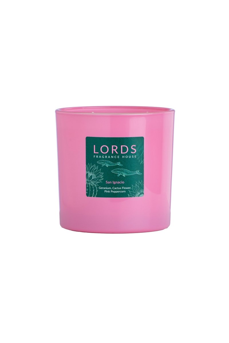 San Ignacio 3 Wick Candle - FlourishCo.